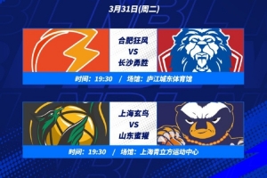 争夺四强门票！合肥狂风 VS 长沙勇胜 上海玄鸟 VS 山东蜜獾
