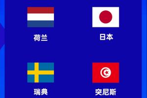 第13次晋级！瑞典时隔8年重回世界杯，与荷兰、日本同组