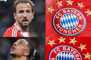 这钱花得值！拜仁