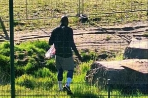 还不归队！意媒：卢卡库在安特卫普训练，预计归期不会早于下周中