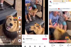 疯狂上嘴脸!马竞官方几乎全平台同步视频,嘲讽巴萨是戴头套的狗